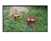 Skytech M66 6 Axis Mini RC Drone Toy Quadcopter